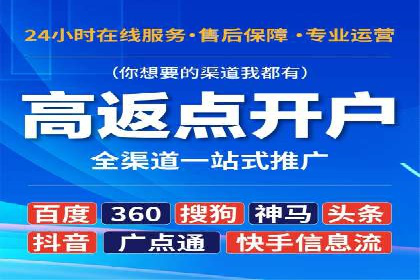 百度竞价广告的投放策略与成功案例分析