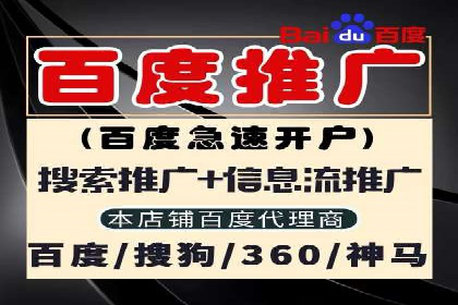 解析百度竞价排名的成功因素：以某公司为例